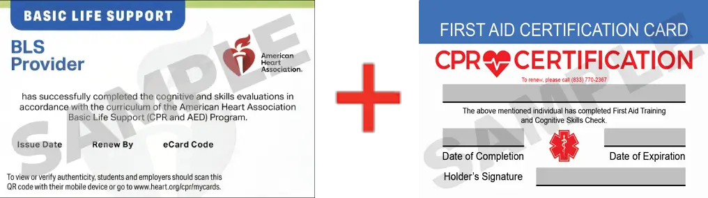 Sample American Heart Association AHA BLS CPR Card Certificaiton and First Aid Certification Card from CPR Certification Detroit