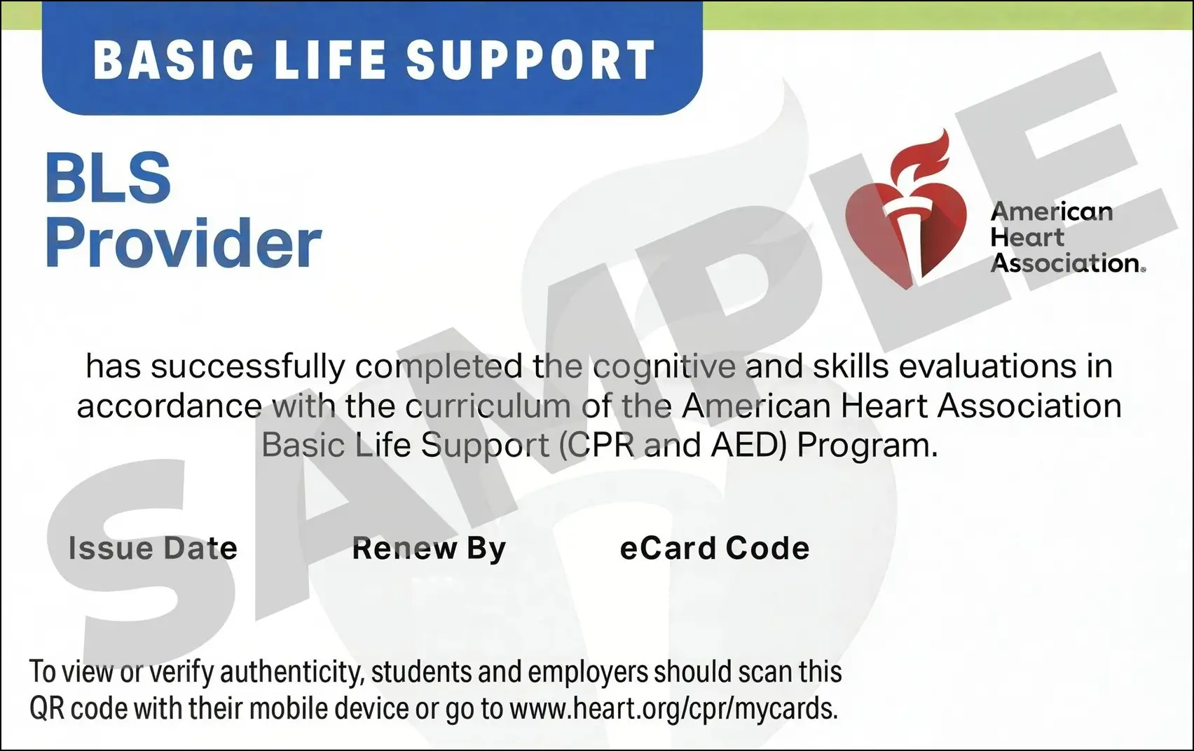Sample American Heart Association AHA BLS CPR Card Certification from CPR Certification Detroit